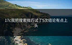 17c我把搜索技巧试了5次结论有点上头