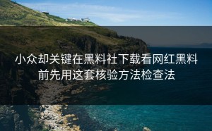 小众却关键在黑料社下载看网红黑料前先用这套核验方法检查法
