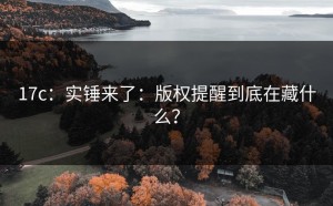 17c：实锤来了：版权提醒到底在藏什么？