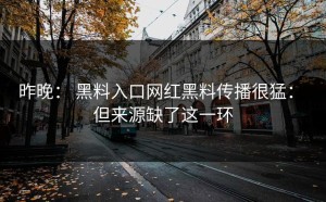 昨晚： 黑料入口网红黑料传播很猛： 但来源缺了这一环