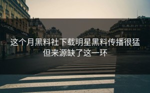 这个月黑料社下载明星黑料传播很猛但来源缺了这一环