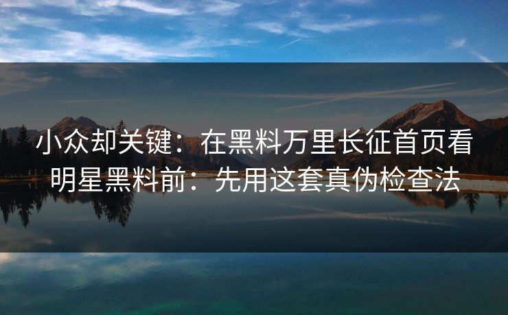小众却关键：在黑料万里长征首页看明星黑料前：先用这套真伪检查法