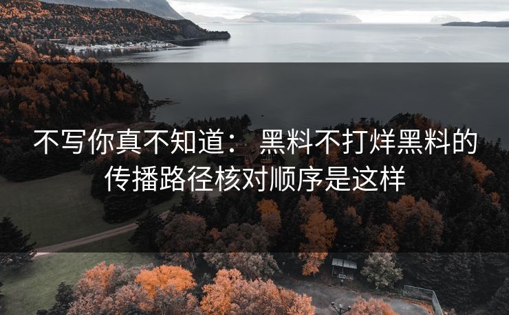 不写你真不知道： 黑料不打烊黑料的传播路径核对顺序是这样