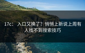 17c： 入口又换了？悄悄上新说上周有人找不到搜索技巧