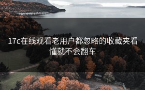 17c在线观看老用户都忽略的收藏夹看懂就不会翻车