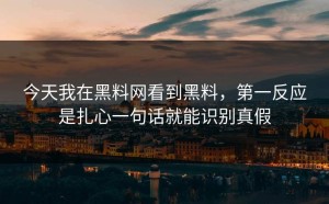 今天我在黑料网看到黑料，第一反应是扎心一句话就能识别真假