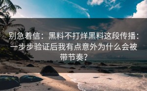 别急着信：黑料不打烊黑料这段传播：一步步验证后我有点意外为什么会被带节奏？